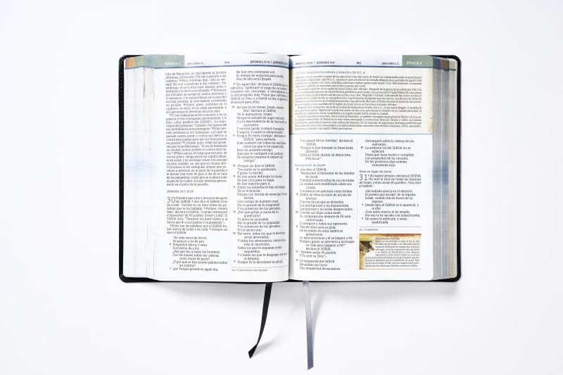 BIBLIA CRONOLÓGICA DE ESTUDIO NBLA - Imagen 3