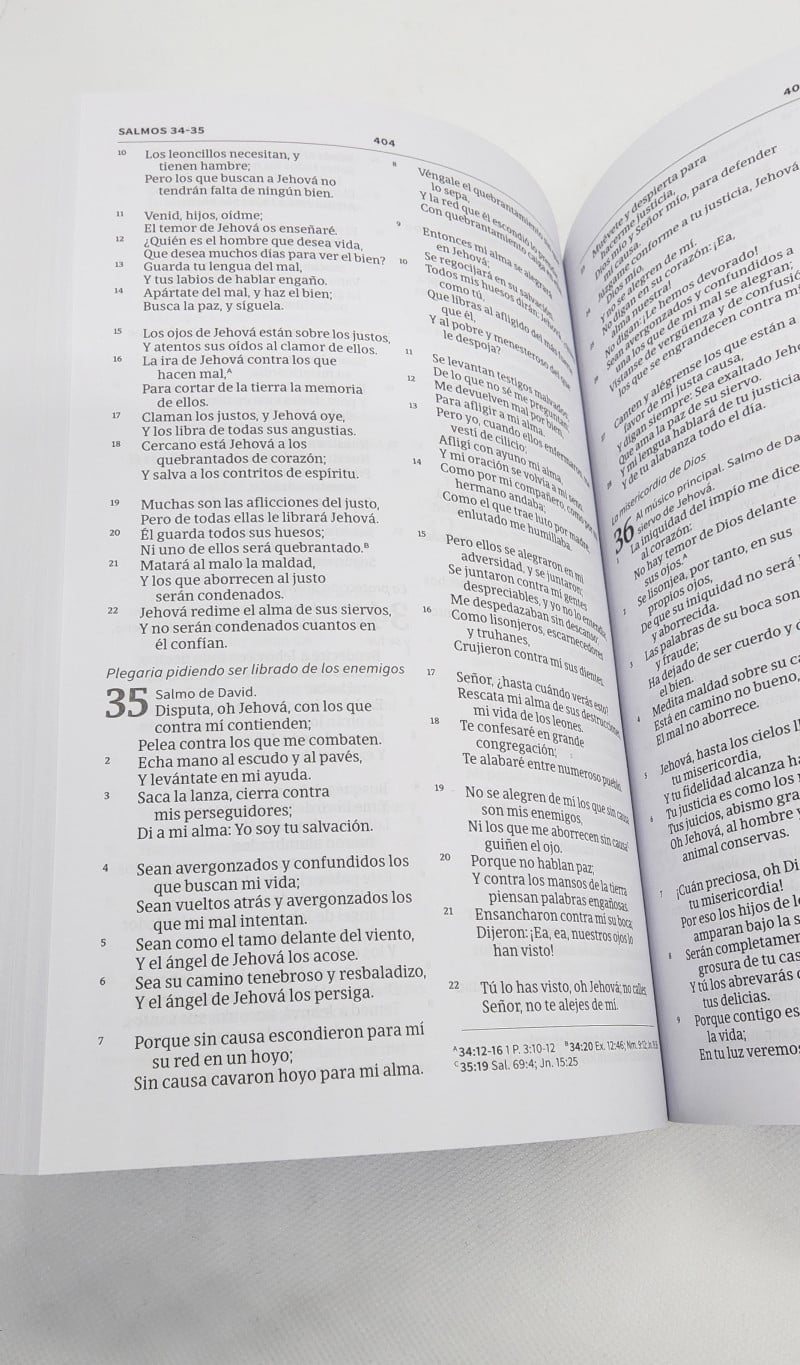 20 BIBLIAS RVR1960 ECONÓMICA DE EVANGELISMO - Imagen 4